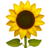 emojis sunflower